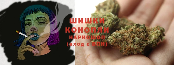 винт Белокуриха