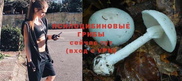 винт Белокуриха