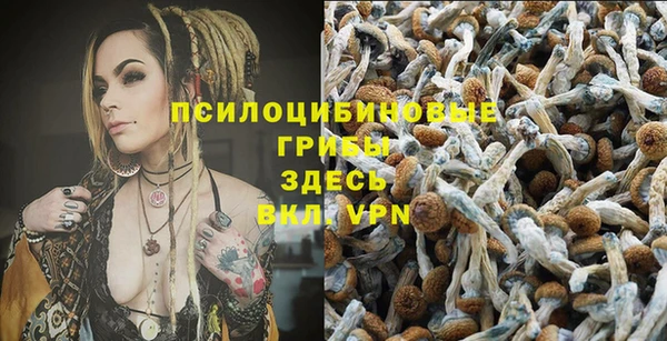 винт Белокуриха
