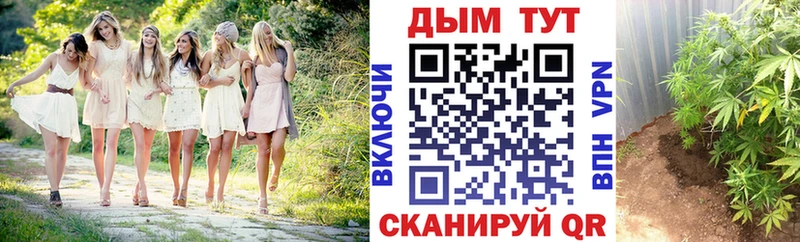 Канабис семена Купить Омск
